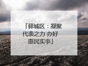 驿城区：凝聚代表之力 办好惠民实事