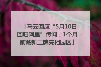 马云回应“5月10日回归阿里”传闻，1个月前戴新工牌亮相园区