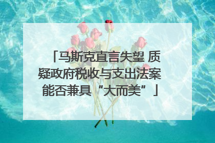 马斯克直言失望 质疑政府税收与支出法案能否兼具“大而美”