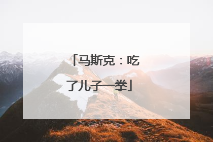 马斯克：吃了儿子一拳
