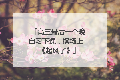 高三最后一个晚自习下课，操场上《起风了》