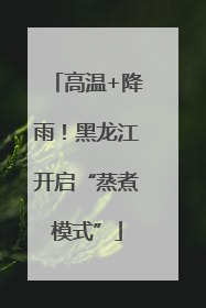 高温+降雨！黑龙江开启“蒸煮模式”