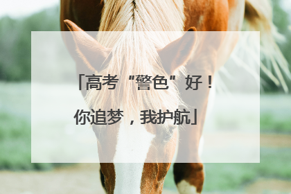 高考“警色”好！你追梦，我护航