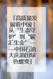高质量发展看中国｜从“生态守护”到“碳汇生金”——中国石油大庆油田绿色蝶变