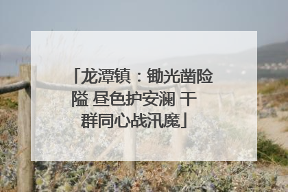 龙潭镇：锄光凿险隘 昼色护安澜 干群同心战汛魔