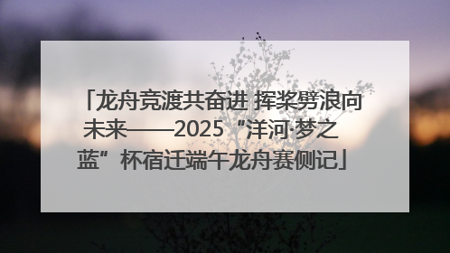 龙舟竞渡共奋进 挥桨劈浪向未来——2025“洋河·梦之蓝”杯宿迁端午龙舟赛侧记