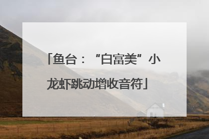 鱼台：“白富美”小龙虾跳动增收音符