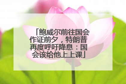 鲍威尔前往国会作证前夕，特朗普再度呼吁降息：国会该给他上上课