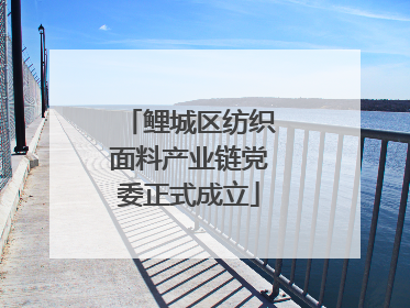 鲤城区纺织面料产业链党委正式成立