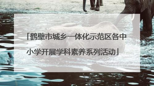鹤壁市城乡一体化示范区各中小学开展学科素养系列活动