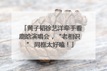 黄子韬徐艺洋牵手看鹿晗演唱会，“老相识” 同框太好嗑！