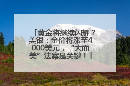 黄金将继续闪耀？美银：金价将涨至4000美元，“大而美”法案是关键！