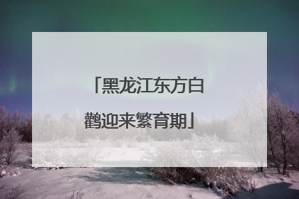 黑龙江东方白鹳迎来繁育期