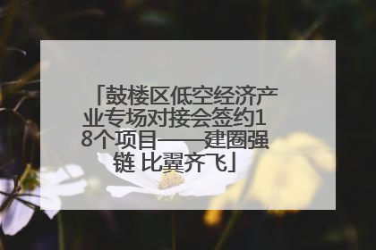 鼓楼区低空经济产业专场对接会签约18个项目——建圈强链 比翼齐飞