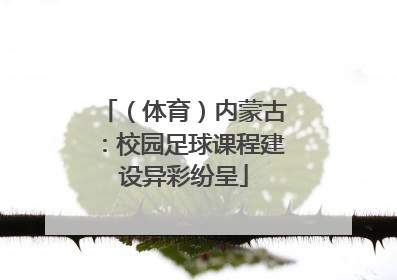（体育）内蒙古：校园足球课程建设异彩纷呈