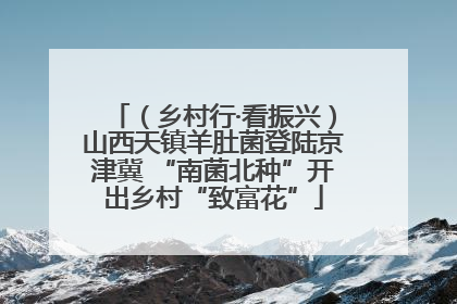 （乡村行·看振兴）山西天镇羊肚菌登陆京津冀 “南菌北种”开出乡村“致富花”
