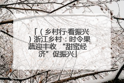 （乡村行·看振兴）浙江乡村：时令果蔬迎丰收 “甜蜜经济”促振兴