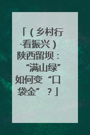 （乡村行·看振兴）陕西留坝：“满山绿”如何变“口袋金”？