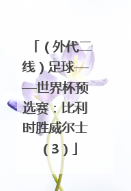 （外代二线）足球——世界杯预选赛：比利时胜威尔士（3）