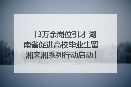 3万余岗位引才 湖南省促进高校毕业生留湘来湘系列行动启动