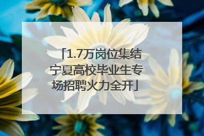 1.7万岗位集结 宁夏高校毕业生专场招聘火力全开