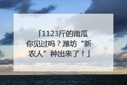 1123斤的南瓜你见过吗？潍坊“新农人”种出来了！