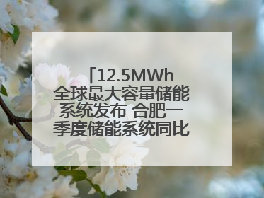 12.5MWh全球最大容量储能系统发布 合肥一季度储能系统同比增长425%