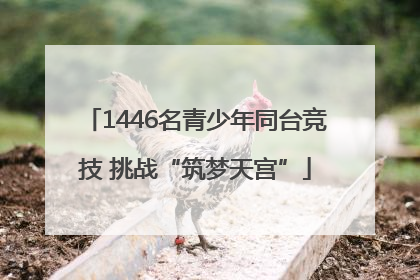1446名青少年同台竞技 挑战“筑梦天宫”