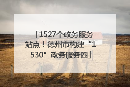 1527个政务服务站点！德州市构建“1530”政务服务圈