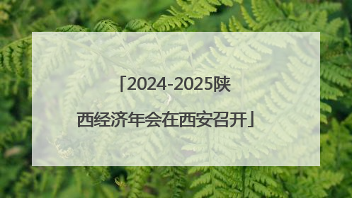 2024-2025陕西经济年会在西安召开