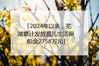 2024年以来，芜湖累计发放孤儿生活保障金2758万元