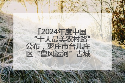 2024年度中国“十大最美农村路”公布，枣庄市台儿庄区“鲁风运河”古城文化廊道上榜！