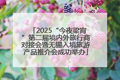 2025“今夜梁宵”第二届境内外旅行商对接会暨无锡入境旅游产品推介会成功举办