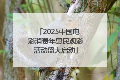 2025中国电影消费年惠民观影活动盛大启动