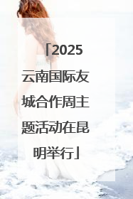 2025云南国际友城合作周主题活动在昆明举行