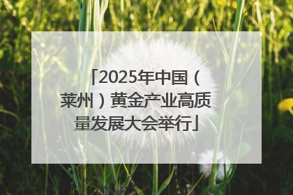2025年中国（莱州）黄金产业高质量发展大会举行