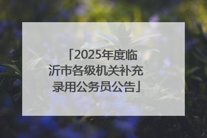 2025年度临沂市各级机关补充录用公务员公告