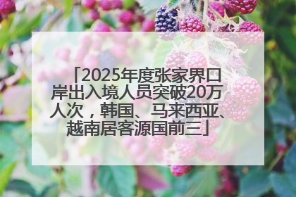 2025年度张家界口岸出入境人员突破20万人次，韩国、马来西亚、越南居客源国前三