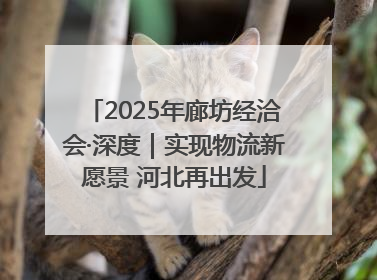 2025年廊坊经洽会·深度｜实现物流新愿景 河北再出发