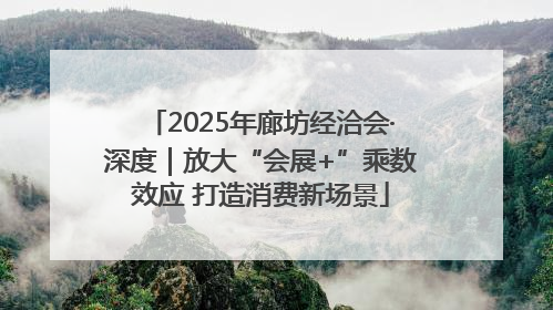 2025年廊坊经洽会·深度｜放大“会展+”乘数效应 打造消费新场景