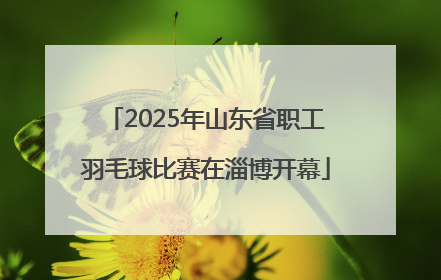 2025年山东省职工羽毛球比赛在淄博开幕