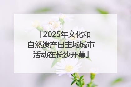 2025年文化和自然遗产日主场城市活动在长沙开幕