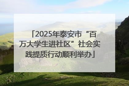 2025年泰安市“百万大学生进社区”社会实践提质行动顺利举办