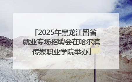 2025年黑龙江留省就业专场招聘会在哈尔滨传媒职业学院举办