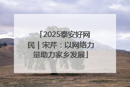 2025泰安好网民｜宋芹：以网络力量助力家乡发展