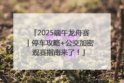 2025端午龙舟赛｜停车攻略+公交加密 观赛指南来了！