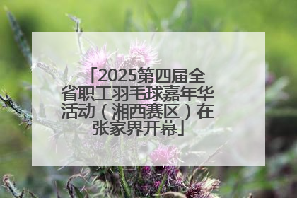 2025第四届全省职工羽毛球嘉年华活动（湘西赛区）在张家界开幕