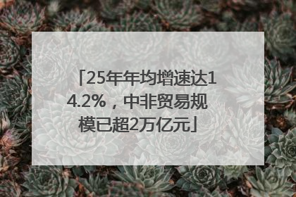 25年年均增速达14.2%，中非贸易规模已超2万亿元