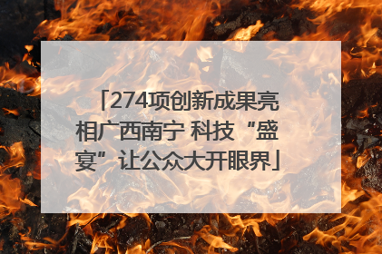 274项创新成果亮相广西南宁 科技“盛宴”让公众大开眼界