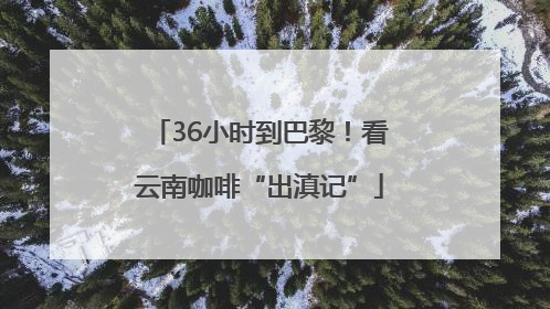 36小时到巴黎！看云南咖啡“出滇记”